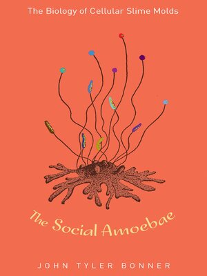 cover image of The Social Amoebae